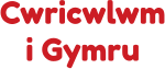 Cwricwlwm i Gymru