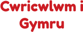 Cwricwlwm i Gymru