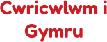 Cwricwlwm i Gymru